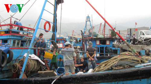 ຊາວປະມົງທາງພາກກາງຫວຽດນາມ ອອກສູ່ທະເລເພື່ອຫາປາ